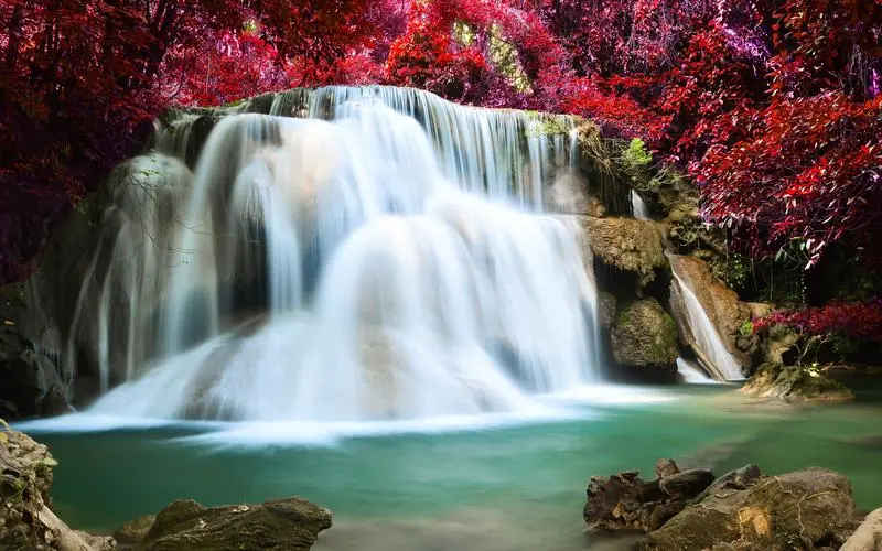 网络化先进可靠性